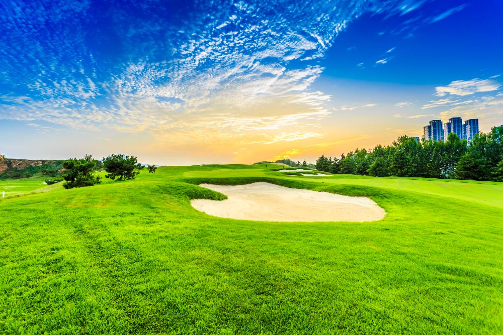 Why Does Bunker Sand Develop a Crust After Repeated Irrigation or Rainfall?